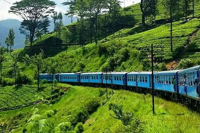 ella-nanuoya-train-ride