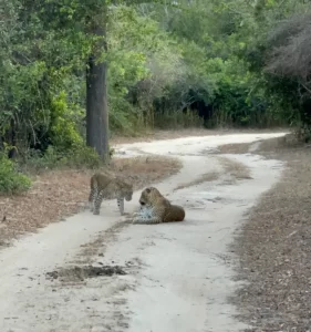 kumana-national -park