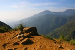 Little Adam’s Peak