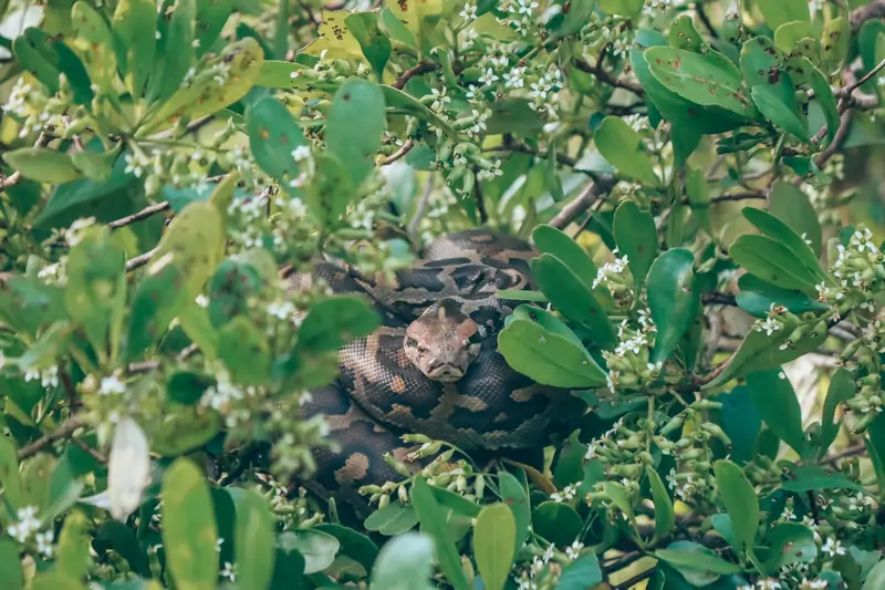 Wilpattu National Park