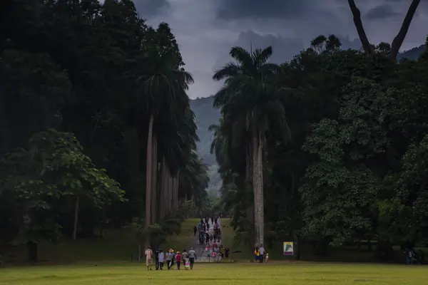 Peradeniya Royal Botanical Gardens