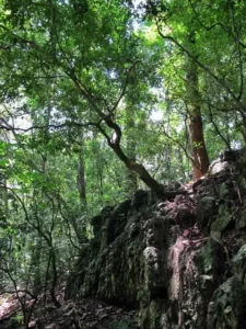 Udawatte Kele Sanctuary