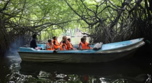 boat-safari-in-sri-lanka