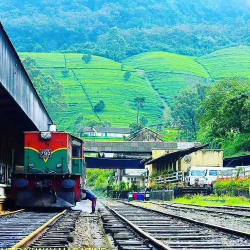 Traveling to Ella by Train