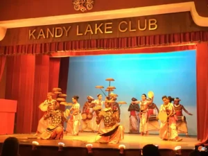Traditional Cultural Dance Show